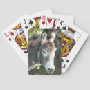 Recherche de donkey jeux de cartes Animaux