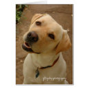 Suche nach gelbes papier postkarten Spaß