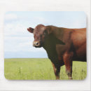 Suche nach kanada tag mousepads Horizontal