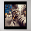 Suche nach lustiges selfie poster Katzen