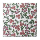 Recherche de framboise carreaux Motif