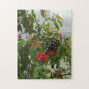 Recherche de cocon puzzles Papillon