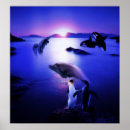 Recherche de amant de pingouin posters Nature