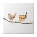 Recherche de oiseau vintage carreaux Peinture
