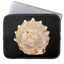 Suche nach muschel laptop schutzhüllen Schwarz