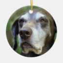 Suche nach german ornamente Haustier