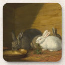 Suche nach kaninchen untersetzer Bollen