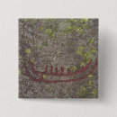 Recherche de archéologique badges Préhistorique