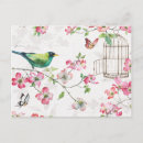 Suche nach vogelkäfig postkarten Vögel