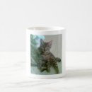 Recherche de lolcats tasses Mignon