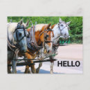 Suche nach belgische postkarten Haustiere