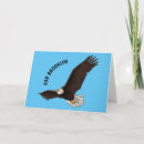 Suche nach glatze karten Adler