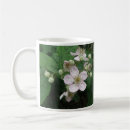 Recherche de mûre tasses Été