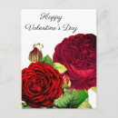 Suche nach alte rose postkarten Botanisch