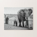 Suche nach afrikanischer elefant puzzle Tierfamilie