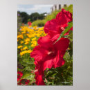 Recherche de de ketmie art Floral