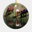 Suche nach pferdeliebhaber ornamente Western