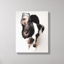 Recherche de animal familier art Terrier de boston