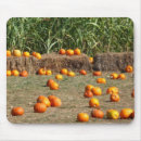 Suche nach heu mousepads Bauernhof