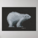 Recherche de polaire posters Nature