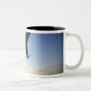 Suche nach falken tassen Gebäude