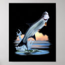 Suche nach süßwasser poster Forelle