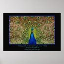 Recherche de paon fier art Nature