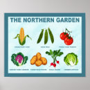 Suche nach salate poster Gartenarbeit