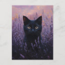 Recherche de illustration de chat noir cartes postales Nature