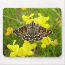 Suche nach schmetterlinge und motten mousepads Insekt