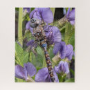 Suche nach dragonfly puzzle Libellen