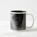 Recherche de siamois tasses Animal