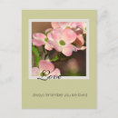 Recherche de dogwood cartes postales Rose