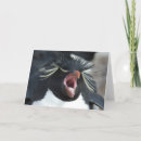 Recherche de rockhopper Pingouin
