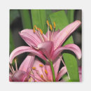 Recherche de vous êtes assez magnets Floral