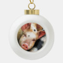Suche nach niedliches schwein ornamente Nutztiere