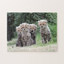 Recherche de guépards puzzles Mignon