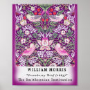 Recherche de botanique antique art Vintage