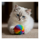 Recherche de animaux uniques posters Amoureux des chats