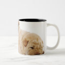 Recherche de tir de studio tasses Image de couleur