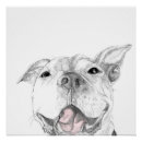 Suche nach pit bull poster Grubenbulle