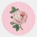 Suche nach vintage rosa rosen aufkleber Blumenreich