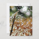 Suche nach zaun postkarten Land