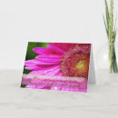 Suche nach rosa gänseblümchen karten Fotografie