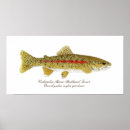Recherche de truite posters Rivière