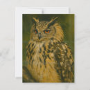 Recherche de eurasien cartes postales Hibou de l'aigle
