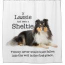 Recherche de chien berger shetland maison deco Animal familier