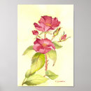 Recherche de rose et bourgeon de rose posters Botanique