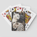 Recherche de fente jeux de cartes Animaux