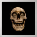Recherche de macabre posters Crâne